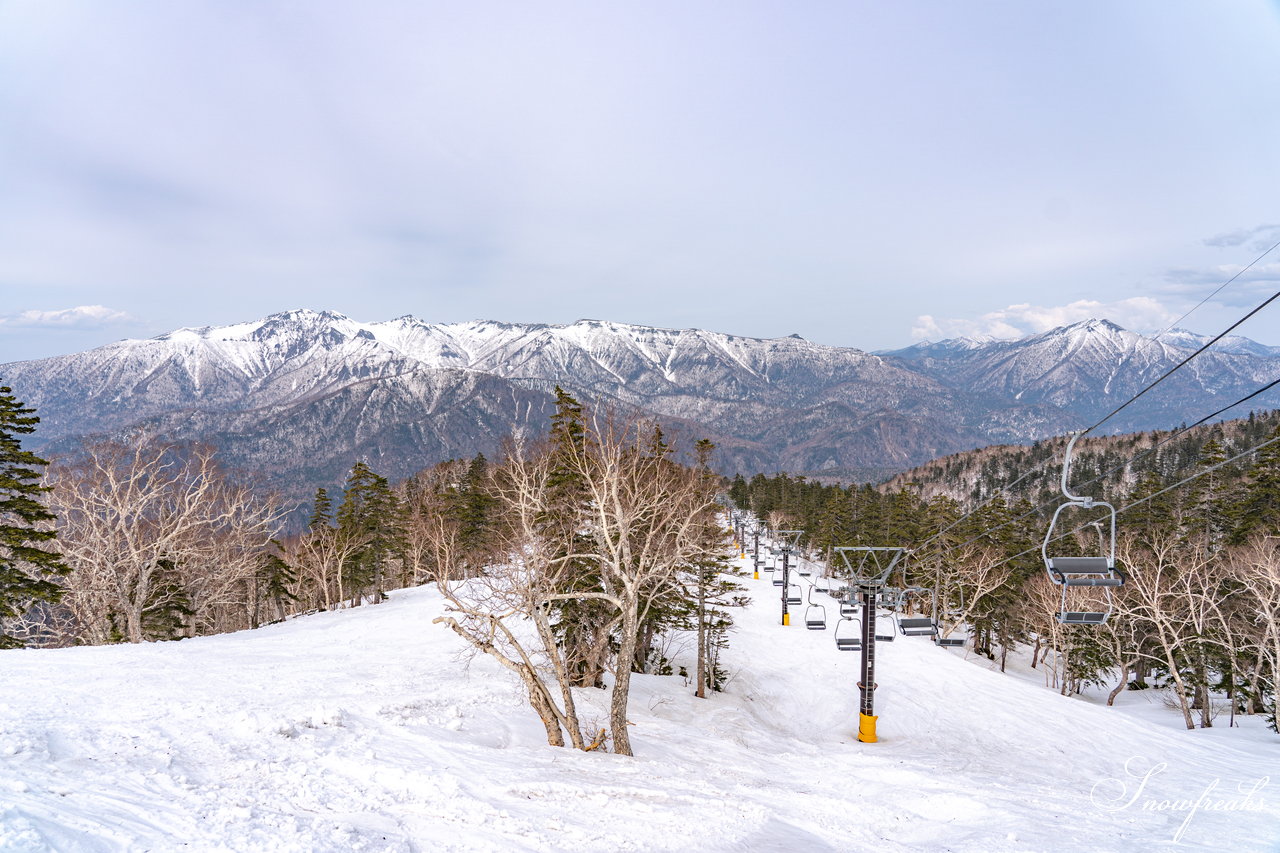 大雪山層雲峡・黒岳ロープウェイスキー場　本日の積雪 310cm。神々の遊ぶ庭でのんびり春スキー＆スノーボードを楽しみましょう♪